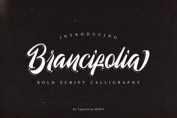 Brancifolia: How a Script Font Transformed My Brand’s Look
