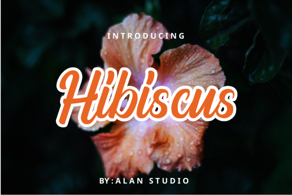 Hibiscus: A Handwritten Font That Elevates Campaign Visuals with Personality