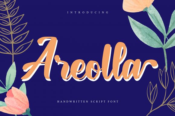 How Areolla Handwritten Font Boosted Our Campaign's Visual Impact