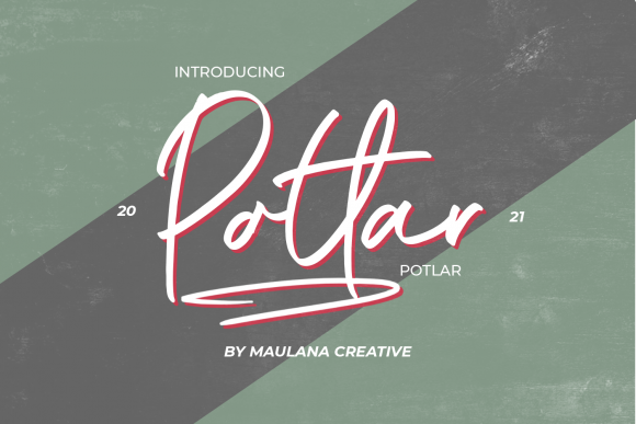 How Potlar Transformed My Campaign Graphics with Handwritten Charm