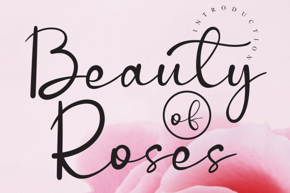 How the Beauty of Roses Font Transformed My Small Business Branding
