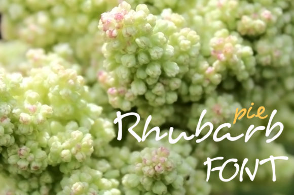 Rhubarb Pie Font: A Sweet Touch for Small Business Branding